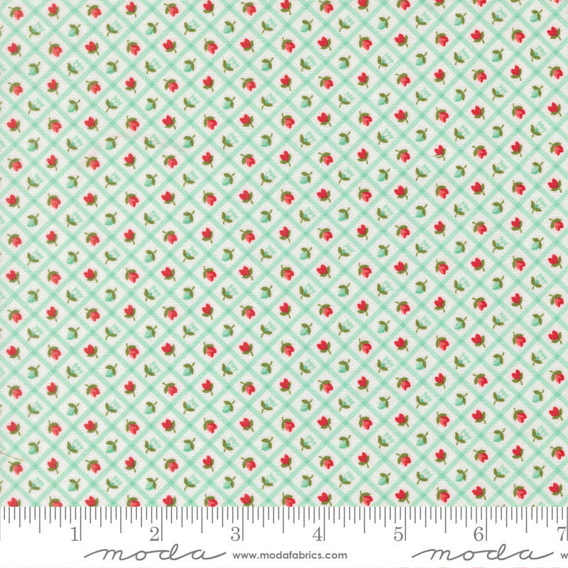 Bloomsberry 55358 23 – Strawberry Lattice Aqua | Camille Roskelley | Moda Fabrics | Yardage