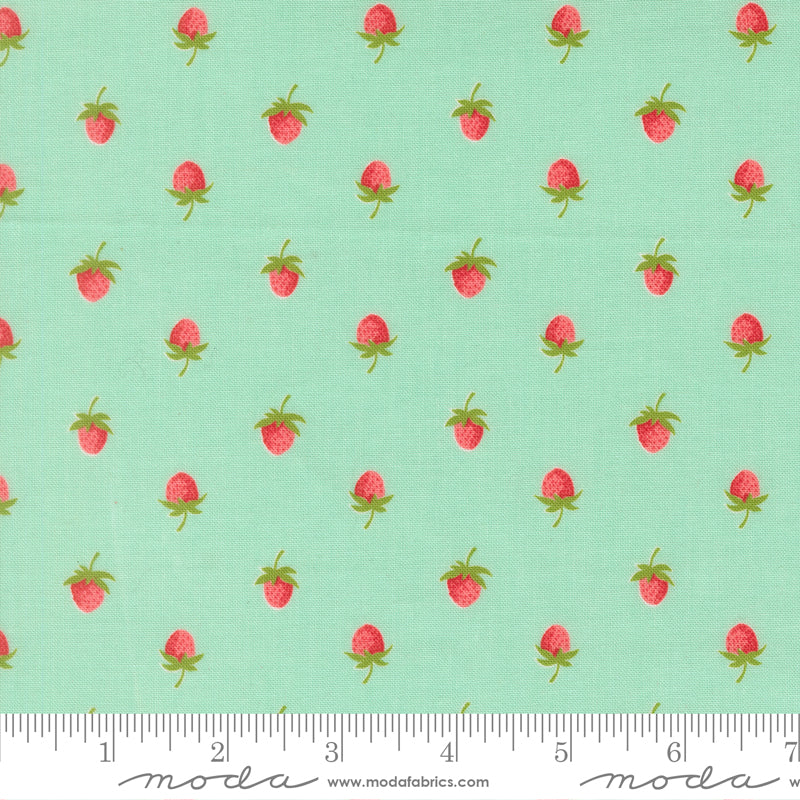 Bloomsberry 55352 13 – Tiny Strawberries Aqua | Camille Roskelley | Moda Fabrics | Yardage
