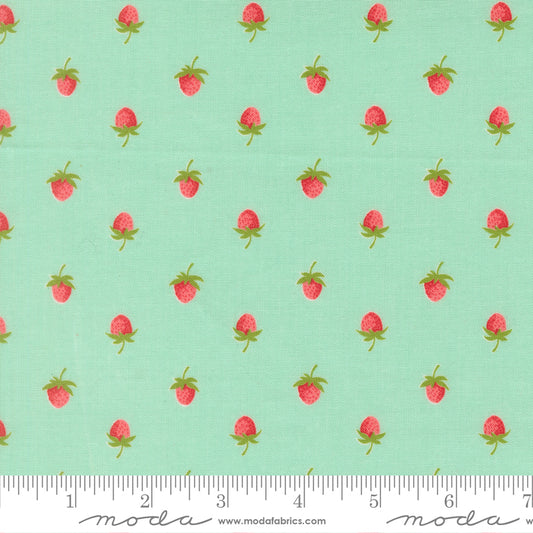 Bloomsberry 55352 13 – Tiny Strawberries Aqua | Camille Roskelley | Moda Fabrics | Yardage
