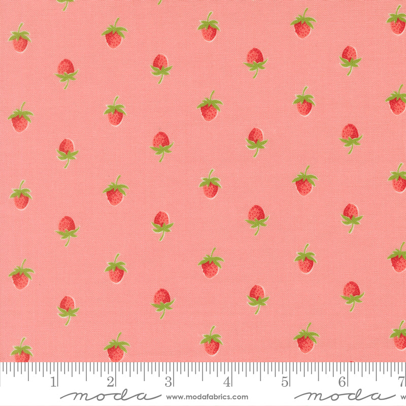 Bloomsberry 55352 16 – Tiny Strawberries Pink | Camille Roskelley | Moda Fabrics | Yardage