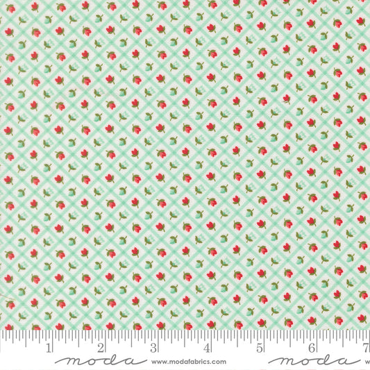 Bloomsberry 55358 23 – Strawberry Lattice Aqua | Camille Roskelley | Moda Fabrics | Yardage
