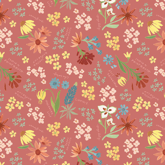 Albion Rose – 5 Yard Cut