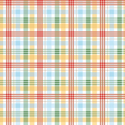 Winnie the Pooh – Plaid Multi (C17005-MULTI) by Echo Park Paper Co. for Riley Blake Designs – 100% Cotton Fabric