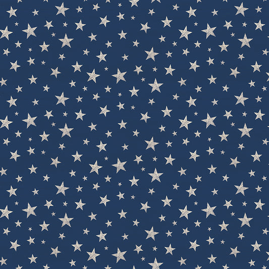 Valor Is Never Forgotten by Tara Reed for Riley Blake Designs – Blue Cream Stars Fabric - January 2027 Preorder