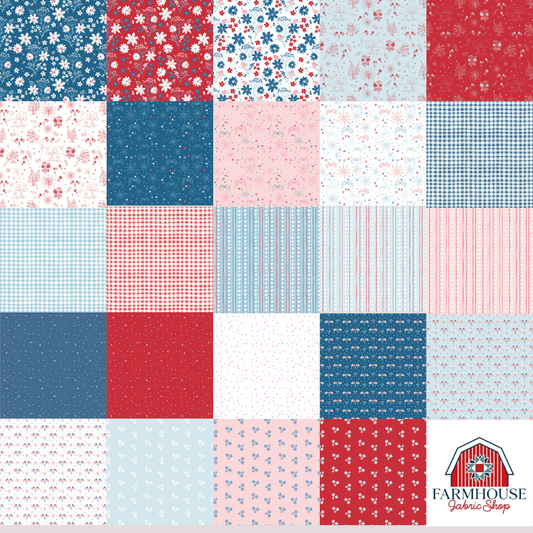 Firework Fields 5" Stacker (42) by Gracey Larson | Riley Blake Designs Charm Pack | Preorder