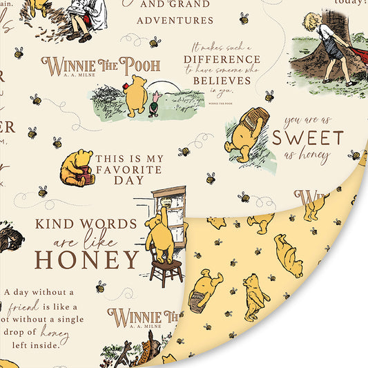 Preorder – Double Lush Velvet by Echo Park Paper Co. for Riley Blake Designs – 58"/60" Wide Plush Fabric (Ships January 2026)